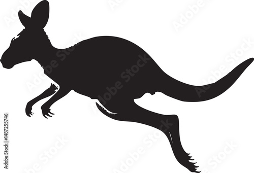 kangaroo vector illustration
