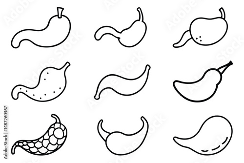 Gallbladder Health Awareness Line art
