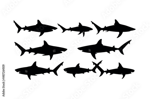 shark silhouette big jaws vector icon