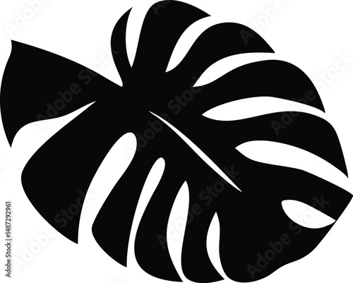 Monstera leaf displays bold cuts and striking simplicity in stark black silhouette