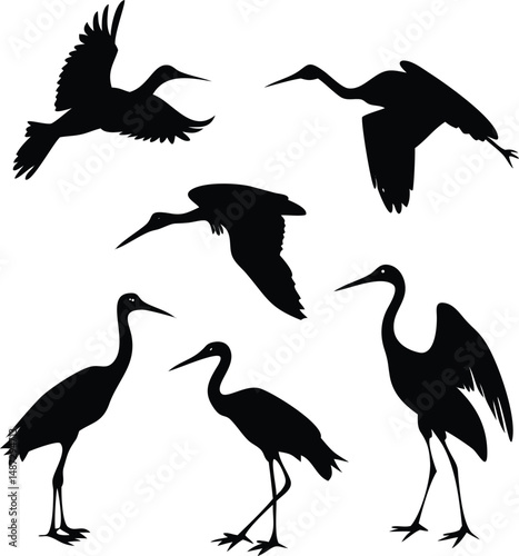 Several black heron silhouette forms in different flying and standing poses look graceful