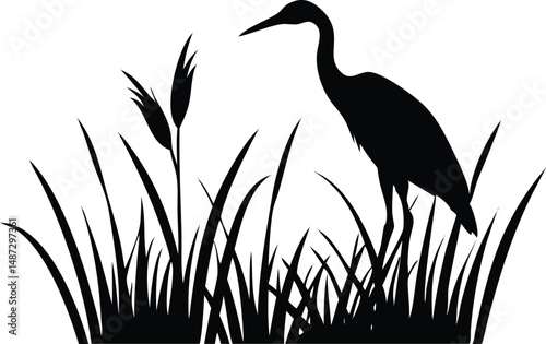 Silhouette of a crane stands peacefully among the tall grass in form