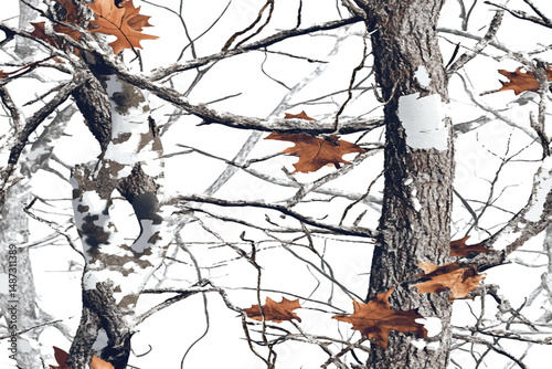 A seamless pattern of camouflage with tree branches, vector illustration, vector art, vector design, high resolution, on a white background