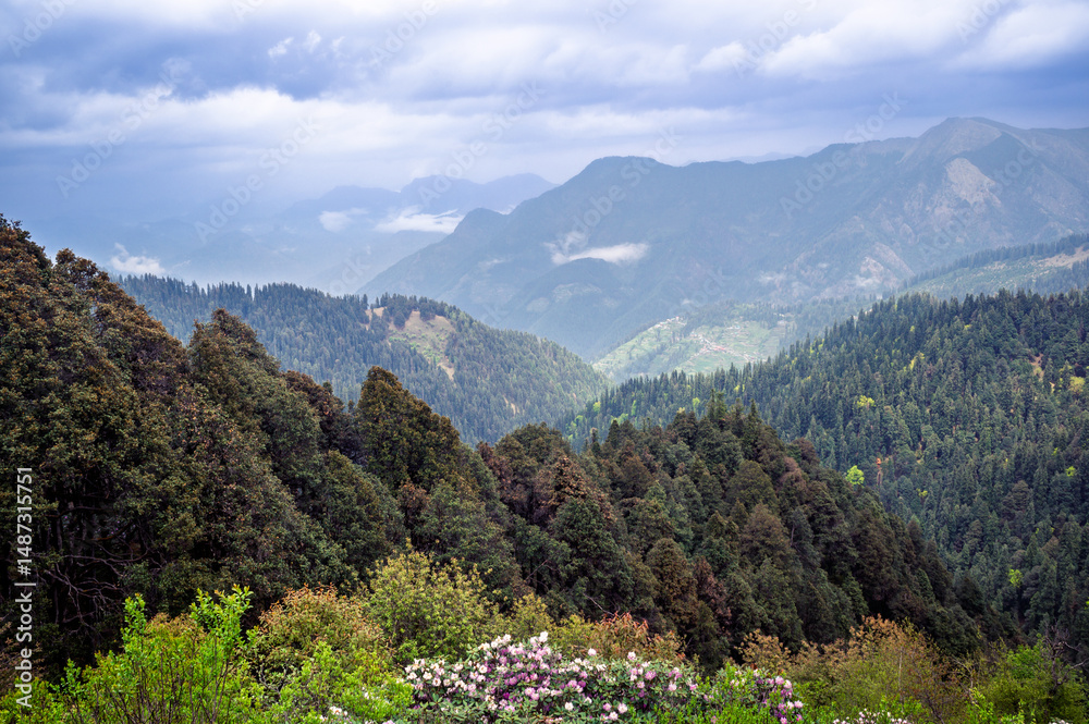 Naklejka premium Mountain landscape with flowers. Himalayan Mountain landscapes are a favourite for hikers and nature enthusiasts alike, such as the Shoja Jalori Pass Raghupur Fort, Himachal Pradesh, India. 