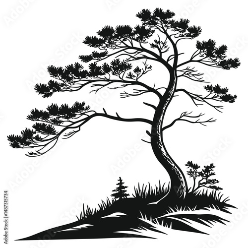Majestic silhouette of a lone pine tree on hill