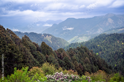 Fototapeta Naklejka Na Ścianę i Meble -  Mountain landscape with flowers. Himalayan Mountain landscapes are a favourite for hikers and nature enthusiasts alike, such as the Shoja Jalori Pass Raghupur Fort, Himachal Pradesh, India.
