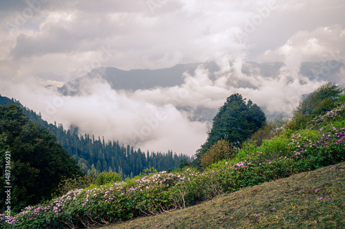 Mountain landscape with clouds. Himalayan Mountain landscapes are a favourite for hikers and nature enthusiasts alike, such as the Shoja Jalori Pass Raghupur Fort, Himachal Pradesh, India.
