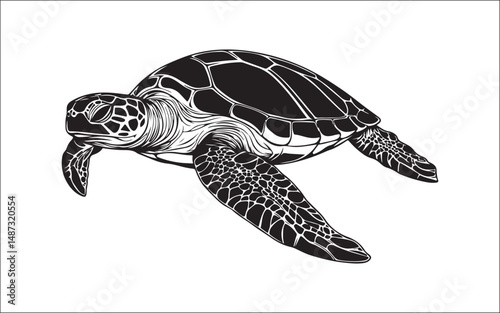 turtle on a white background. turtle, tribal, vector, ocean, marine, illustration, graphic, aquatic, artwork, silhouette