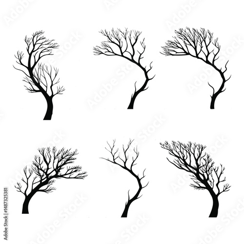 Curved Wind-Blown Tree Silhouettes with Bare Branches