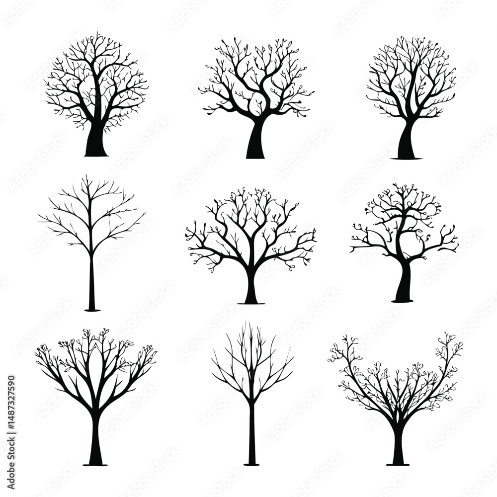 Obraz premium Tree Collection with Rounded and Angular Winter Forms