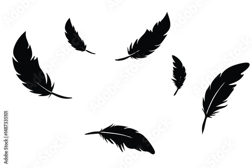 Black feathers float gently against a clean white backdrop in artistic monochrome simplicity