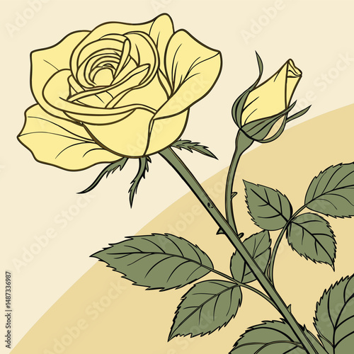 gentle yellow rose with soft delicate layers of petals for flower vector  