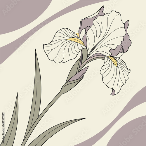 pale lavender iris with smooth flowing petals for flower vector  