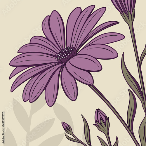 rich purple daisy with vivid flat petals for flower vector  