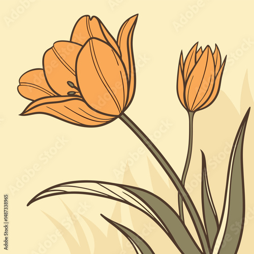 vibrant orange tulip with slightly curled edges for flower vector  