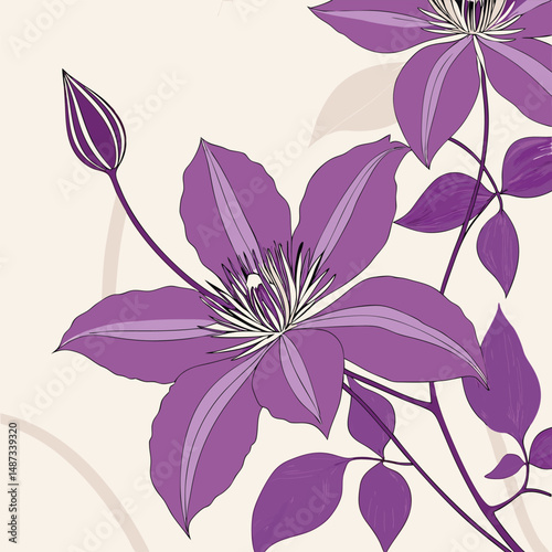 beautiful purple clematis with fine pointy petals for flower vector  