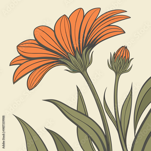 brilliant orange marigold with broad petals for flower vector  