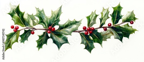 Elegant Holly Sprig with Red Berries Watercolor Illustration