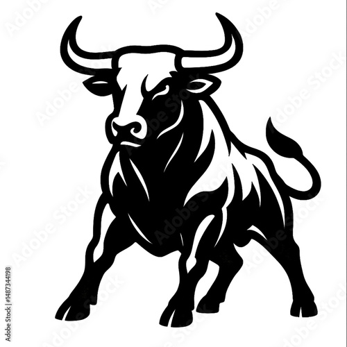 black and white bull