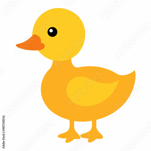 baby Duck  vector on white baclground
