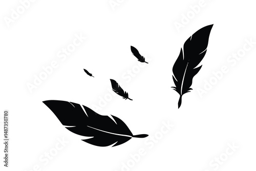 Several black feathers float gently against a pristine white background in simple, elegant shapes