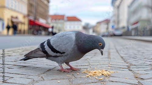 A pigeon pecks at breadcrumbs on the city pavement, focused and undisturbed by the urban bustle.


