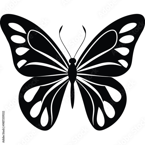 The striking black butterfly displays unique patterns on its delicate wings clearly