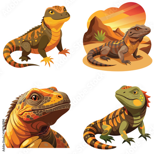Ornate Uromastyx  set  lizard with its distinct spiky tail, sitting calmly against a white background. Spiny-tailed Lizard isolated on white background
