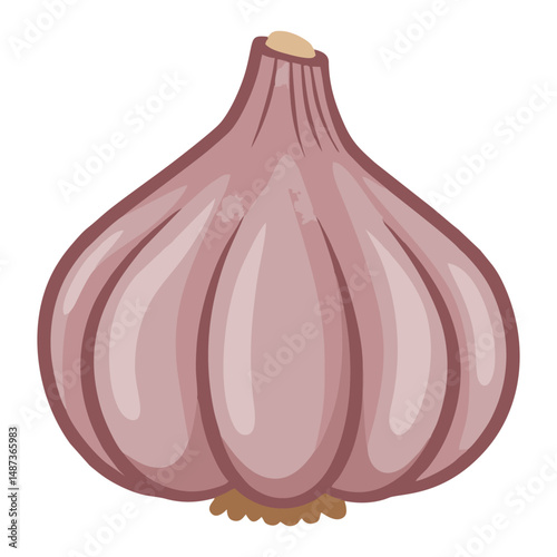 Vector illustration of a whole garlic bulb with subtle shading and clean outlines, emphasizing its natural segmented form. Perfect for culinary, herbal, or organic design themes.