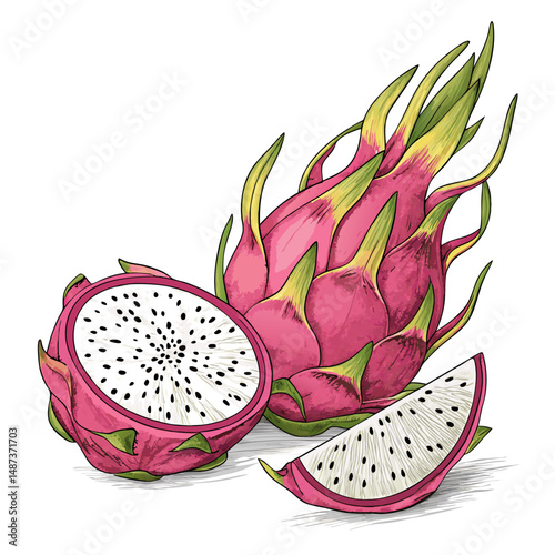 Create a bold, vector illustration of a vibrant pink dragon fruit with a prominent 'O' incorporated into its design.  The style should be clean and modern.