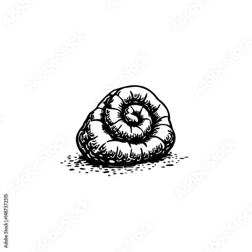 Intricate monochrome drawing of a coiled fossil, evoking ancient times and natural history