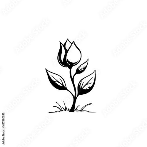 Monochromatic floral illustration with closed bloom against pristine backdrop