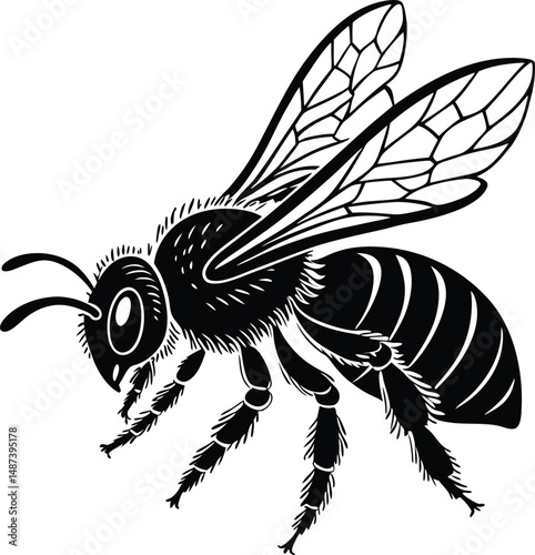 A cute cartoon vector illustration depicts a funny flying insect, possibly a bee or wasp
