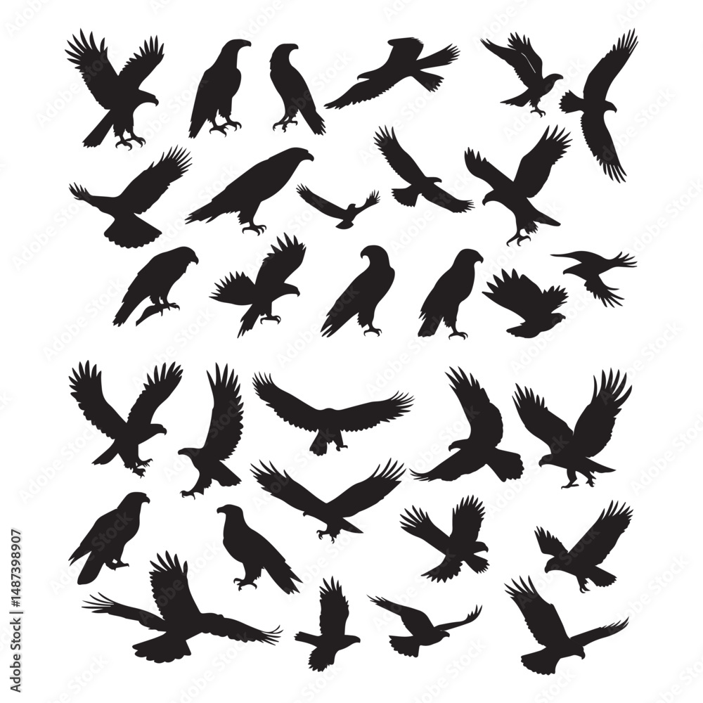 Obraz premium Set of black bird' vector icon silhouettes isolated on white background