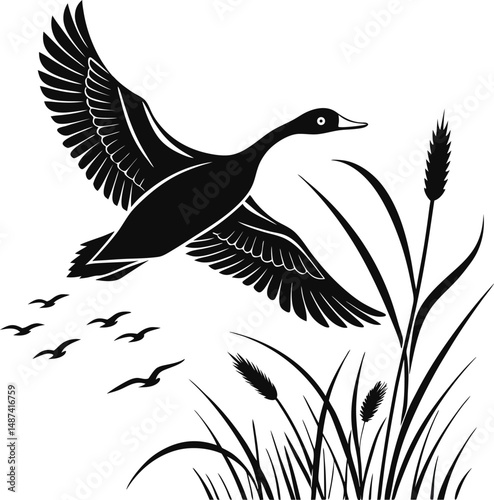 Flying duck vector silhouette Illustration