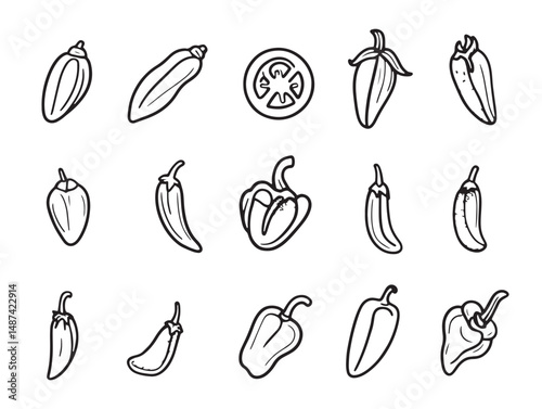 stylized jalapeno pepper in line art for vector artwork