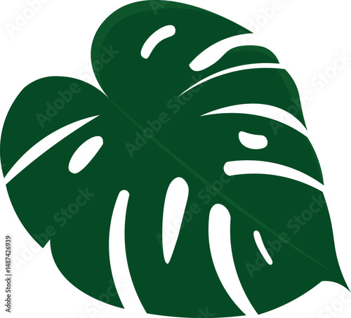 Monstera deliciosa clipart set with tropical patterns, circular and square borders. Great for digital design, prints, and botanical decor, plant.