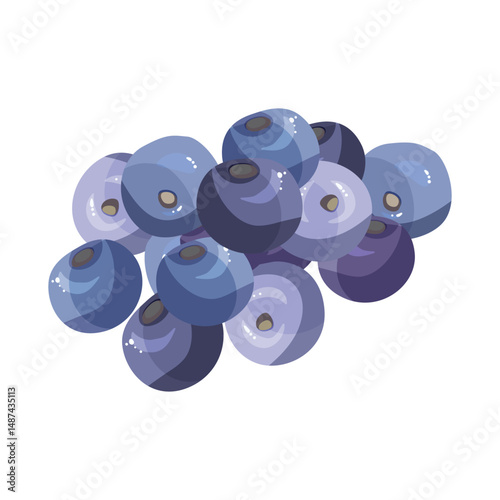 Vector illustration of fresh blueberries isolated on white background. Juicy, ripe, and vibrant fruit design for healthy food or product packaging.