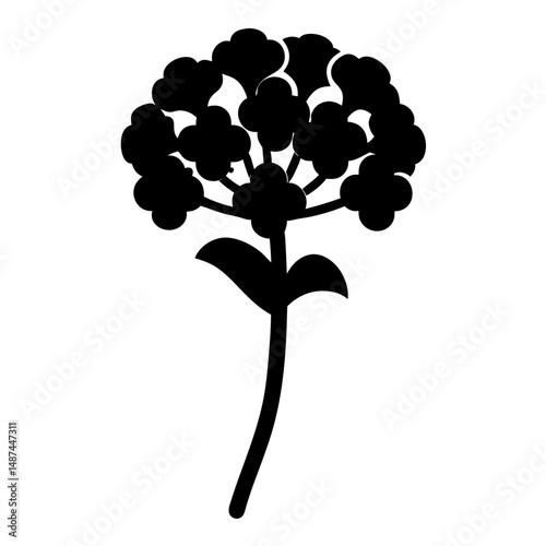 Black silhouette of a flowering plant against a white background, botanical illustration