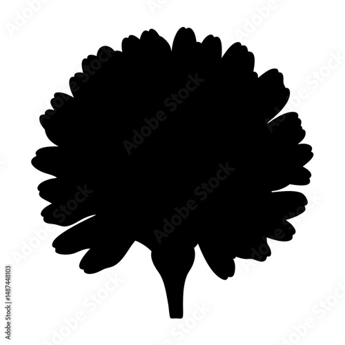 Black silhouette of flower head or topiary plant with many petals