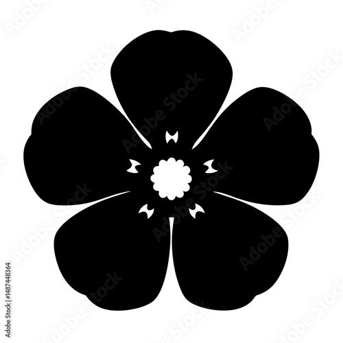 Dramatic black and white flower with five petals and textured center