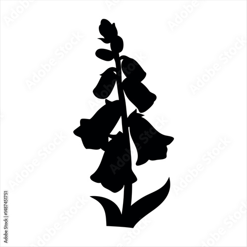 Black silhouette of a flowering digitalis plant on a white background