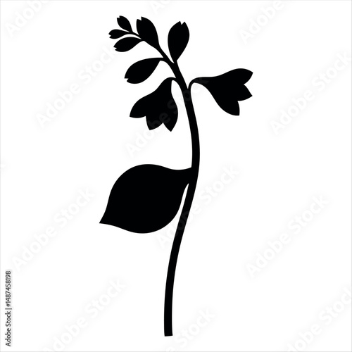 Elegant black silhouette of a flowering plant on a white background