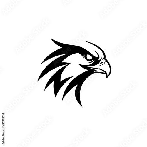The Majestic Eagle's Gaze: A striking, close-up of an eagle's head, with a piercing gaze and powerful beak, embodying strength and freedom in stark black and white.
