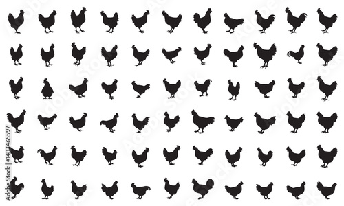 Chicken Silhouettes Vector Set – Hen and Rooster Silhouette Icons Collection for Farm, Poultry, and Agriculture Design

