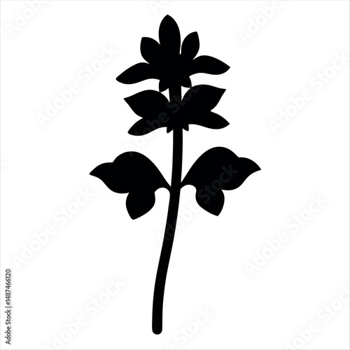 Abstract Silhouette of a Flowering Plant on a White Background