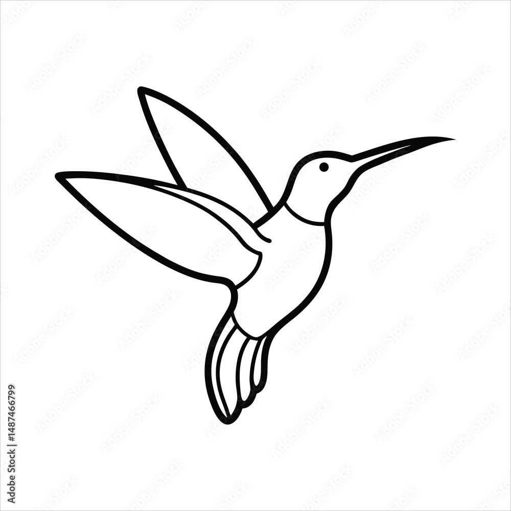 Fototapeta premium vector illustration of a hummingbird