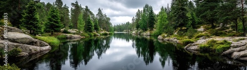 Scenic view of lake in pine forest under peaceful nature concept. Scenic lake surrounded by lush trees and rocky shorelines.