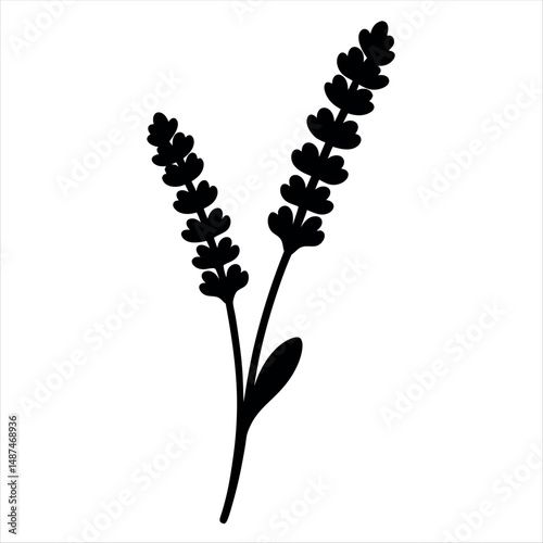 Simple black silhouette illustration of lavender stalks on white background art