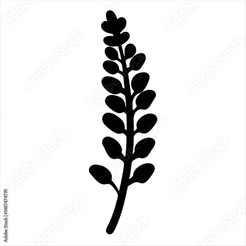 Simple vector illustration of a botanical branch with many leaves sprouting upwards